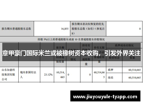 意甲豪门国际米兰或被橡树资本收购，引发外界关注